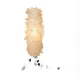 Chunky CP Cat Eye Sunglasses