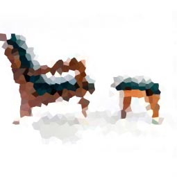 Oversized Cat Eye Sunglasses